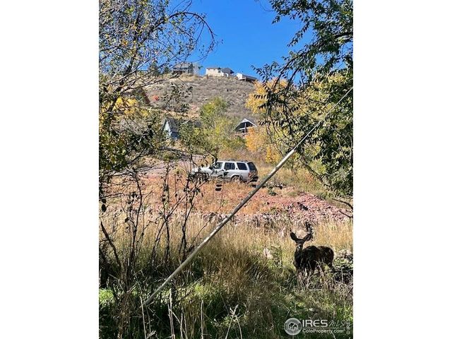 5000 Holiday Dr, Fort Collins, CO 80526