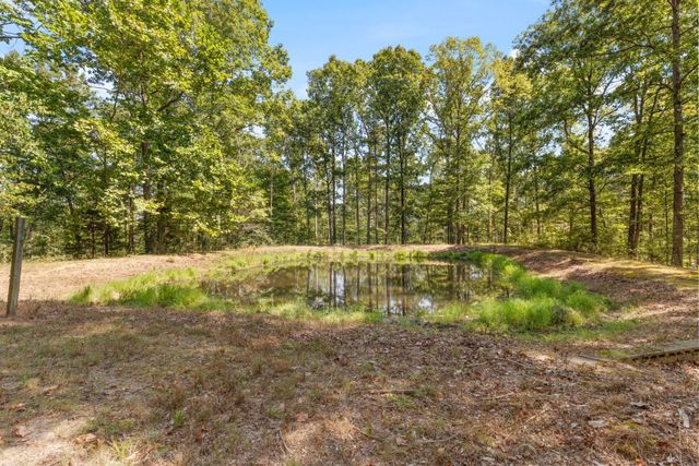 7422 Indian Creek Rd, Mc Ewen, TN 37101