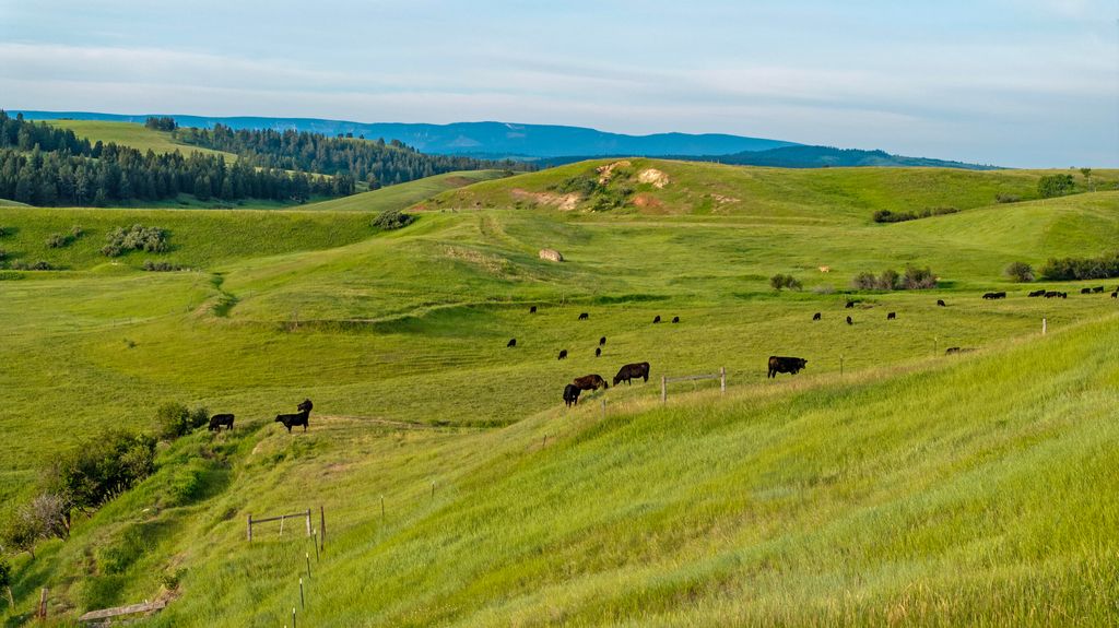 297 Paper Trail, Lewistown, MT 59457 photo 10