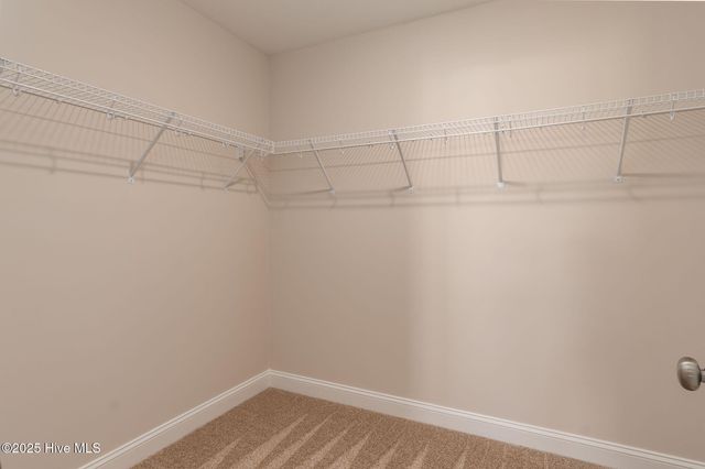 208 Shadow Grass Court, Stella, NC 28582