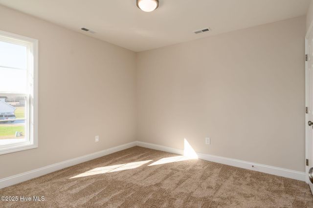 208 Shadow Grass Court, Stella, NC 28582