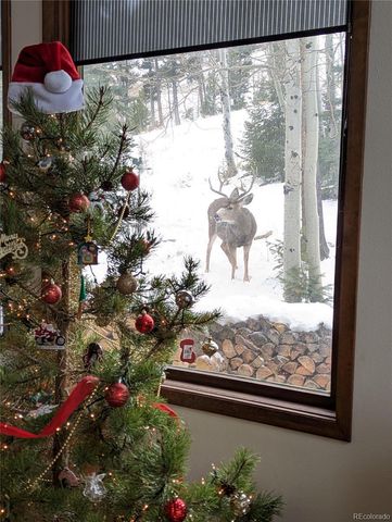 2080 Santa Fe Mountain Road, Evergreen, CO 80439