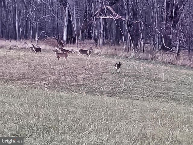 BETHANY LANE, Charles Town, WV 25414