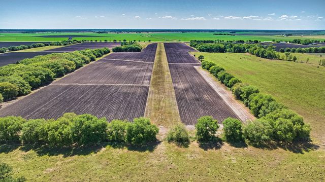 000 Fm 1462 Road, Damon, TX 77430