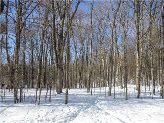 LOT #87 MAPLE Way, Birchwood, WI 54817