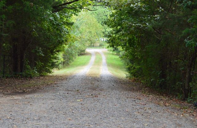 4781 FM 1993, Cookville, TX 75558