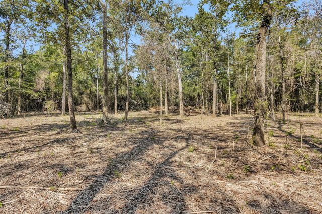 17008 E Fm 1097 Road, Willis, TX 77378