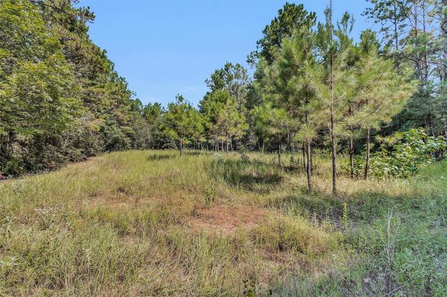 17008 E Fm 1097 Road, Willis, TX 77378