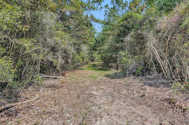 17008 E Fm 1097 Road, Willis, TX 77378