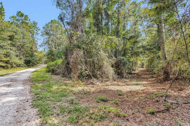 17008 E Fm 1097 Road, Willis, TX 77378