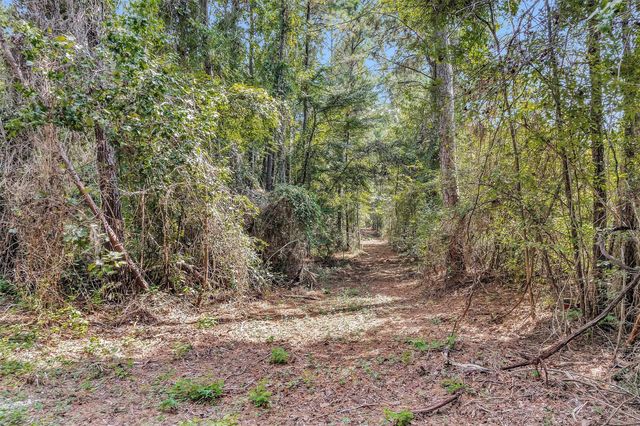 17008 E Fm 1097 Road, Willis, TX 77378