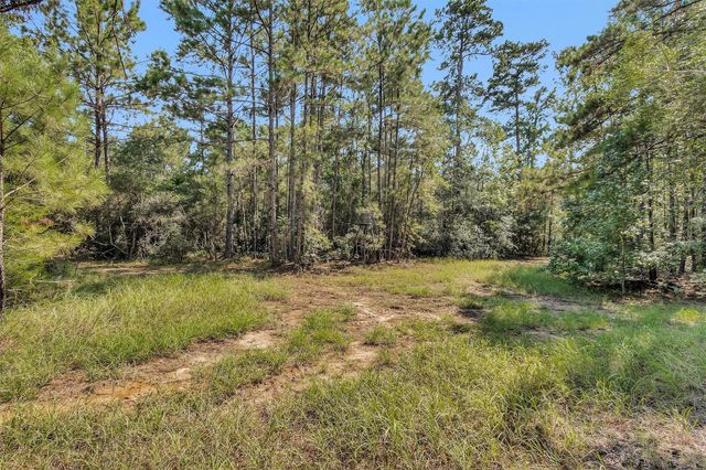 17008 E Fm 1097 Road, Willis, TX 77378