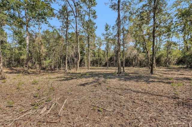 17008 E Fm 1097 Road, Willis, TX 77378