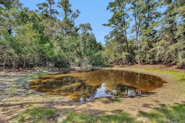 17008 E Fm 1097 Road, Willis, TX 77378