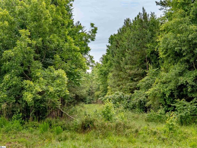 00 Terry Road Lot 8, Fountain Inn, SC 29644