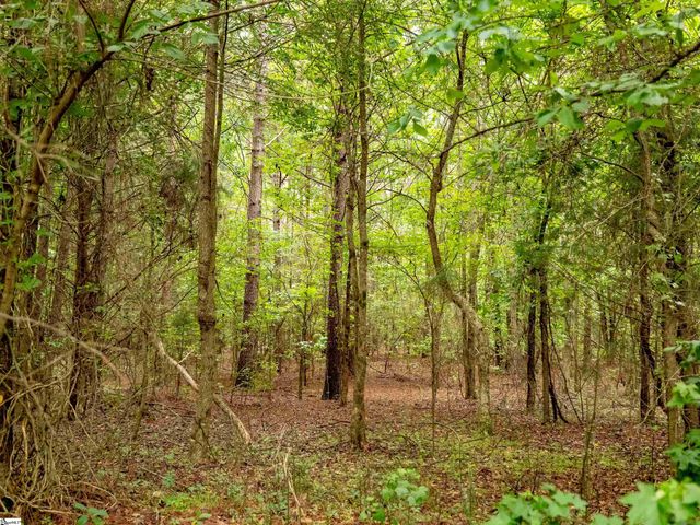 00 Terry Road Lot 8, Fountain Inn, SC 29644
