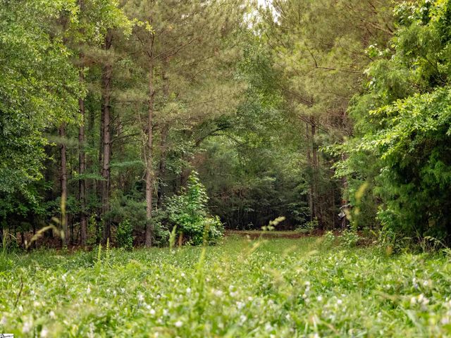 00 Terry Road Lot 8, Fountain Inn, SC 29644