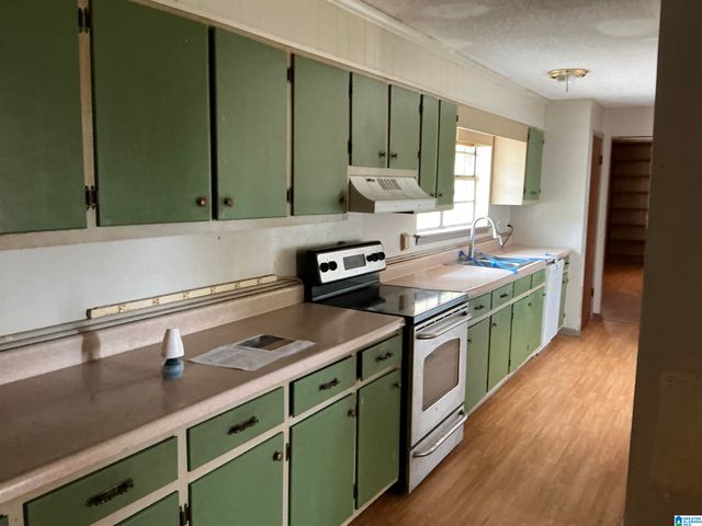 519 ROLAND JOHNSON PARKWAY, Hanceville, AL 35077