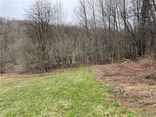 11335 Wyandale Road, Concord, NY 14141