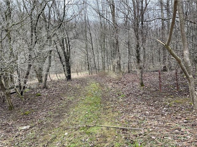 11335 Wyandale Road, Concord, NY 14141