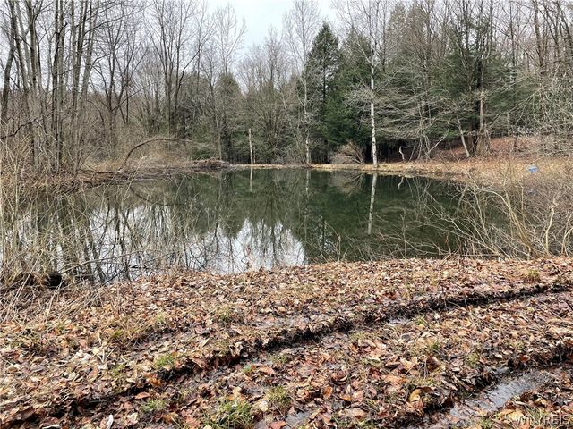 11335 Wyandale Road, Concord, NY 14141