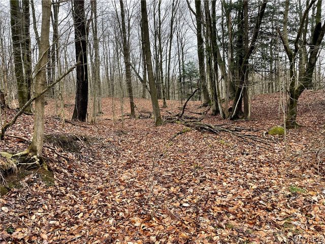 11335 Wyandale Road, Concord, NY 14141