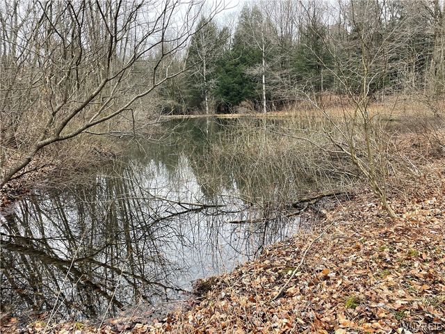 11335 Wyandale Road, Concord, NY 14141