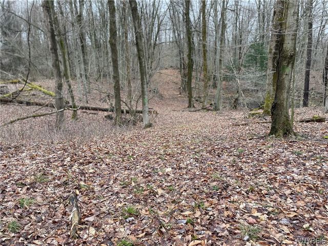 11335 Wyandale Road, Concord, NY 14141