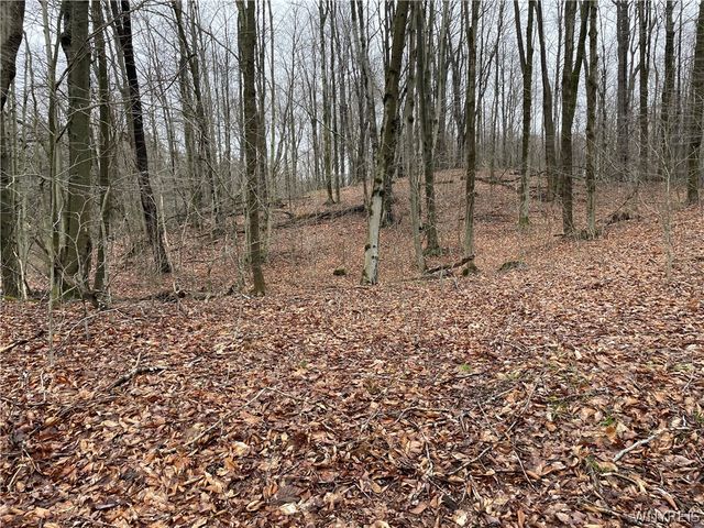 11335 Wyandale Road, Concord, NY 14141