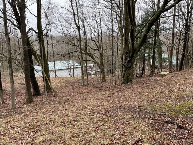 11335 Wyandale Road, Concord, NY 14141