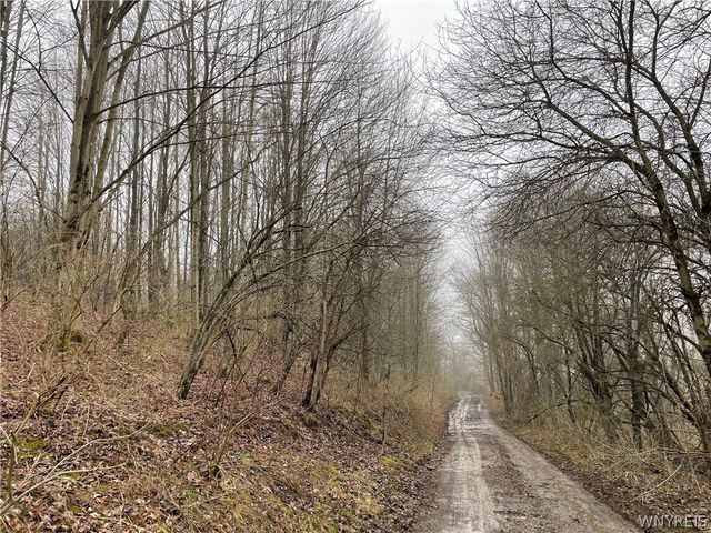 11335 Wyandale Road, Concord, NY 14141