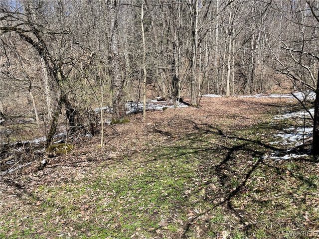 11335 Wyandale Road, Concord, NY 14141