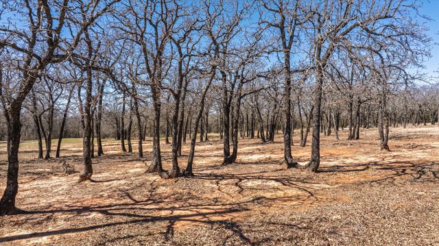 1918 Coleman Ranch Road, Tolar, TX 76476