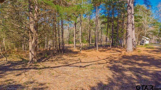 10212 County Road 135, Flint, TX 75762