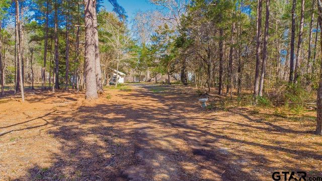 10212 County Road 135, Flint, TX 75762