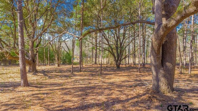 10212 County Road 135, Flint, TX 75762