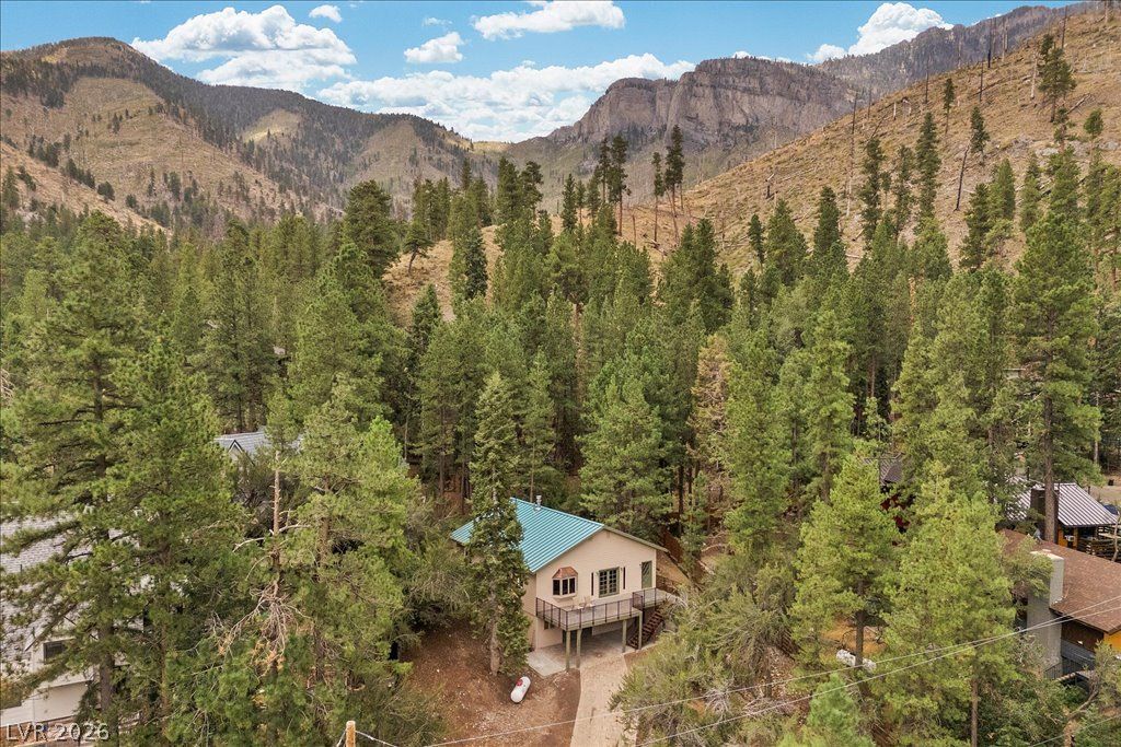 314 Alpine Way, Mount Charleston, NV 89124 — photo 2