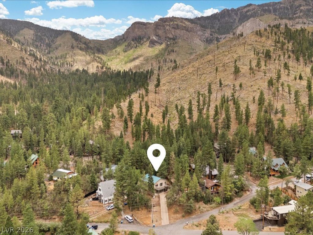 314 Alpine Way, Mount Charleston, NV 89124 — photo 4