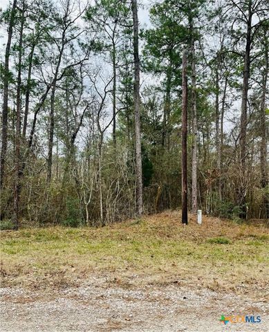 Lot 380 County Road 6494, Dayton, TX 77535