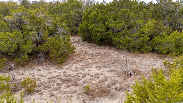 486 Thoroughbred, Spring Branch, TX 78070