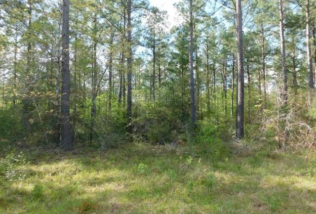 TBD Martin Cochran Rd, Huntington, TX 75949