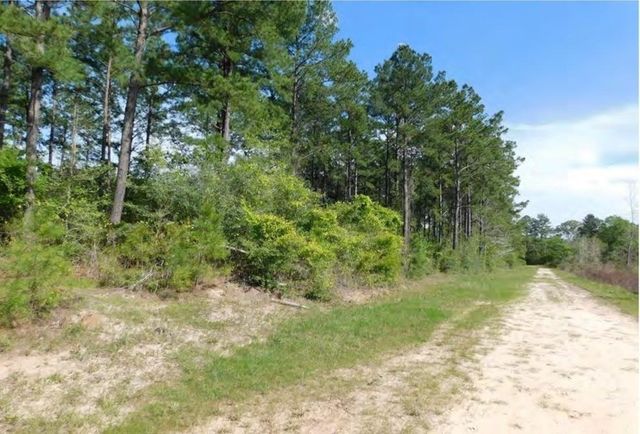 TBD Martin Cochran Rd, Huntington, TX 75949