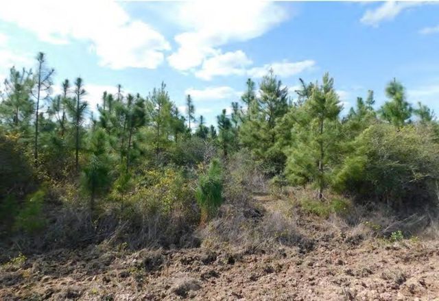 TBD Martin Cochran Rd, Huntington, TX 75949