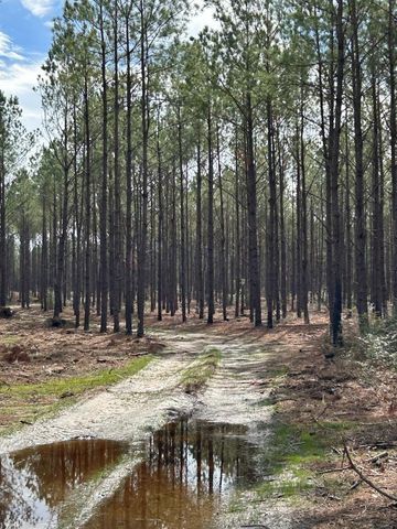 TBD Martin Cochran Rd, Huntington, TX 75949