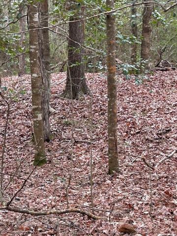 TBD Martin Cochran Rd, Huntington, TX 75949