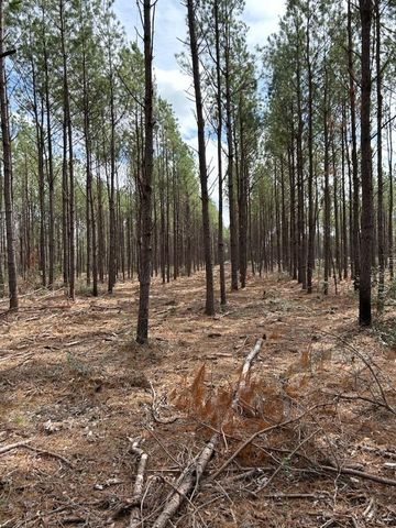 TBD Martin Cochran Rd, Huntington, TX 75949