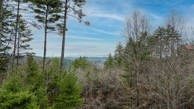 161 Walkabout Creek Road, Morganton, GA 30560