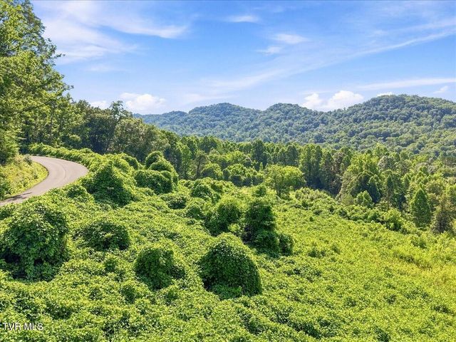 116 Freeman Road, Rogersville, TN 37857