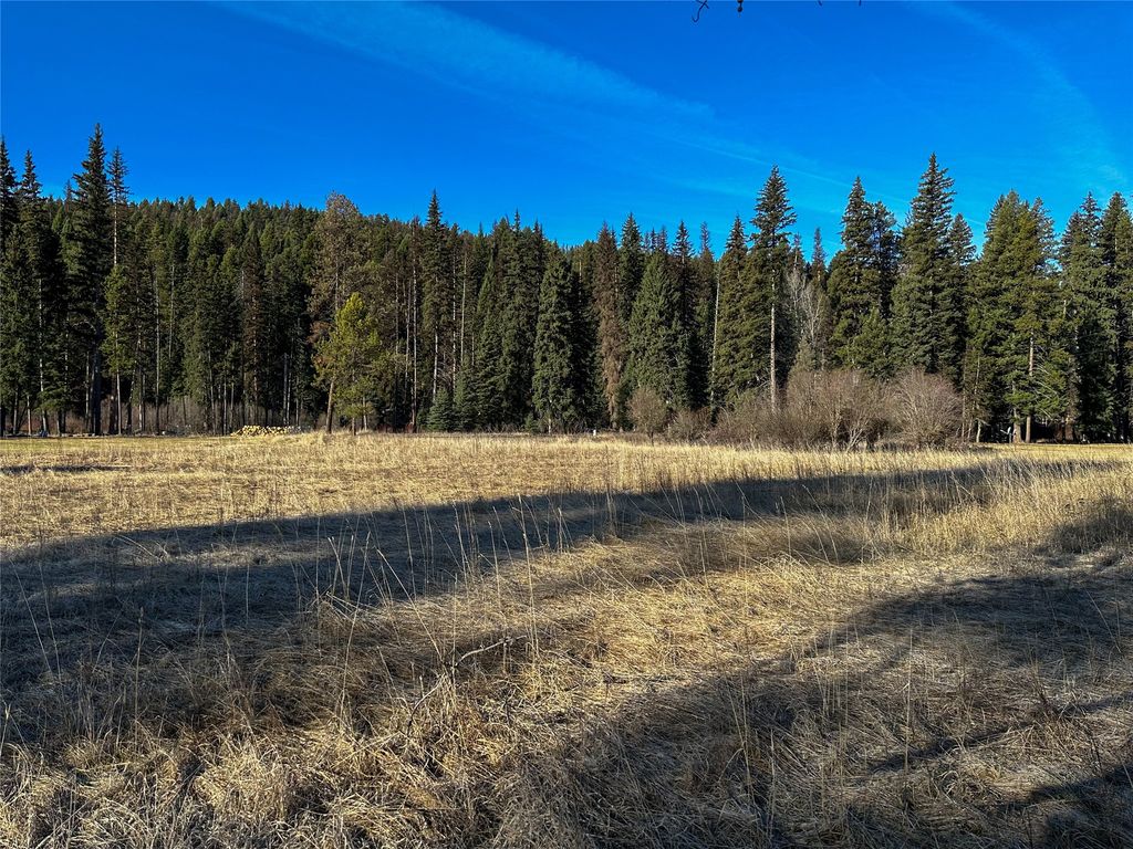 2785 MT Hwy 83, Seeley Lake, MT 59868 photo 2
