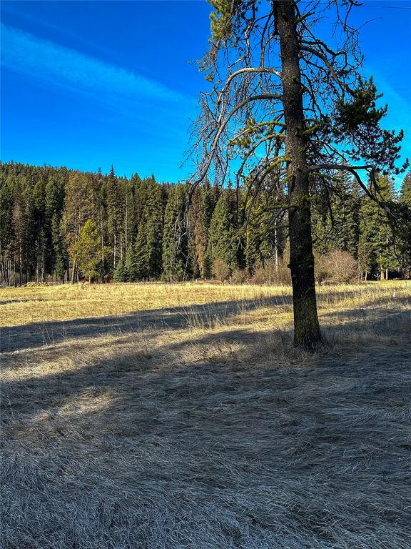 2785 MT Hwy 83, Seeley Lake, MT 59868 photo 5